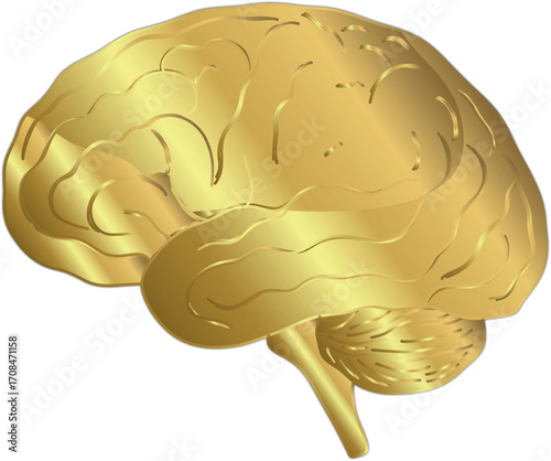 Luxurious gold brain design with metallic shine symbolizing intelligence, wealth, innovation, and premium thinking in a high-end futuristic style.