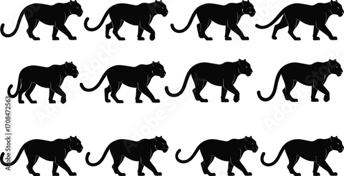 Black panther walking silhouette set in various poses side view big wild feline predator jungle animal vector illustration design
