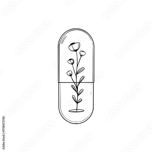 Botanical capsule illustration for wellness natural medicine and holistic health concepts black and white line art