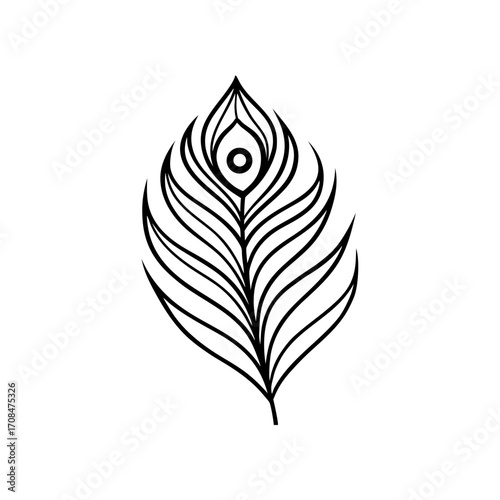 Outline drawing of peacock feather on transparent background