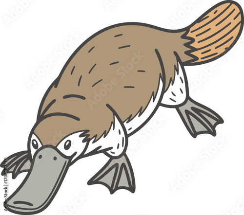 Platypus Illustration in Cartoon Style