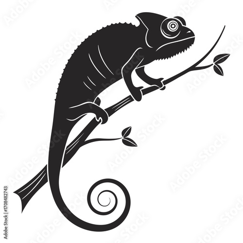 Black chameleon silhouette on a tree branch isolated on white background