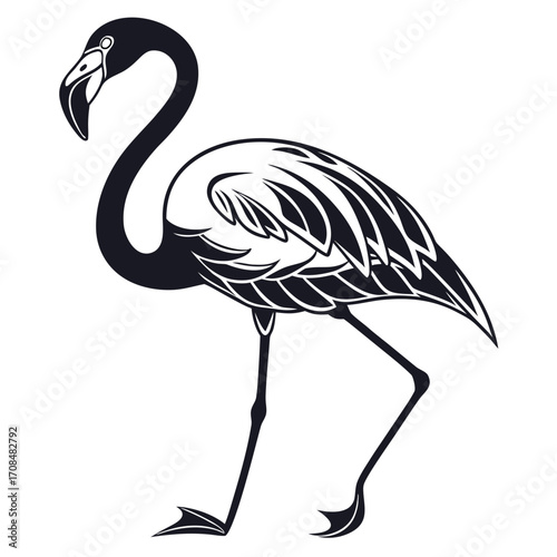 Flamingo silhouette isolated on white background