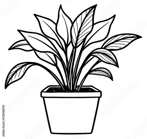 Potted Plant Illustration: A stylish monochrome illustration showcasing a flourishing potted plant with elegant foliage, symbolizing tranquility and an appreciation for nature indoors.