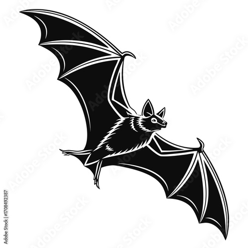 Black bat flying silhouette isolated on white background