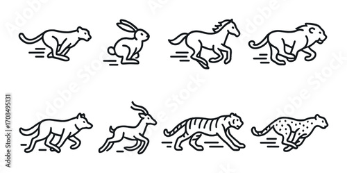 Silhouette illustrations of various running animals on dark background