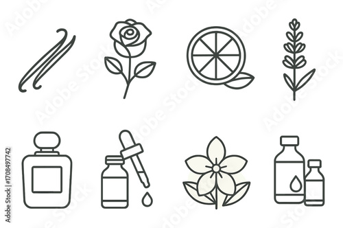 Natural aromas: vanilla, rose, citrus, lavender, perfume, essential oils