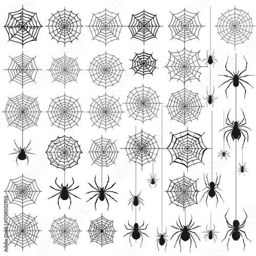 Intricate vector illustration of spiders and webs scalable graphic for diverse design projects