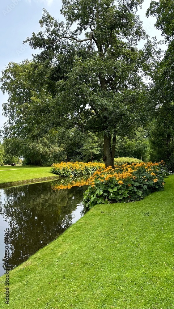 Obraz premium pond in the park