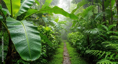 Lush Rainforest Path: Dew-Kissed Leaves & Misty Green Canopy