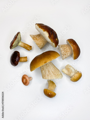 Wild Foraged Mushroom selection isolated on white background, with shadow.