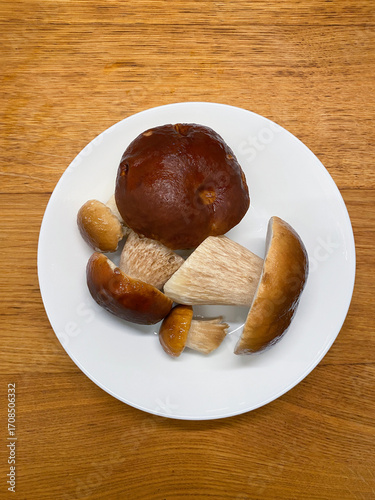 forest fresh mushrooms on a white plate