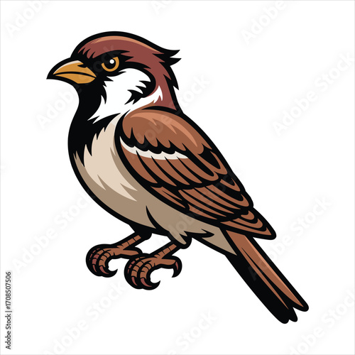 Detailed illustration of a perched house sparrow with brown and white plumage