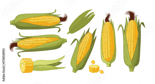 Collection of fresh ripe yellow corn ears with green husks and kernels.
