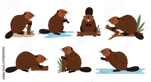 A collection of illustrated beavers engaged in various activities like chewing wood and swimming in water.