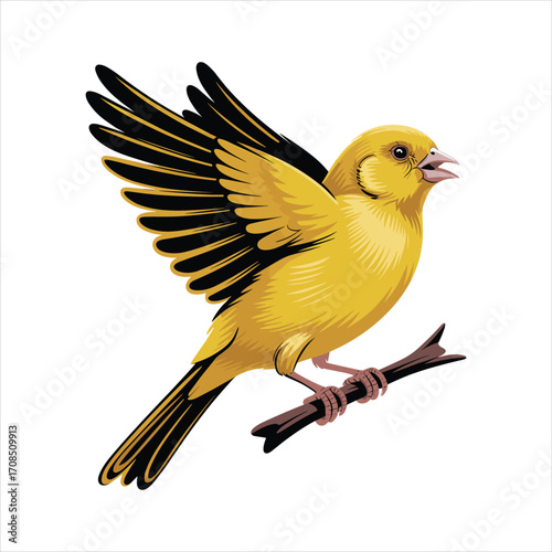 Vibrant yellow canary bird with outstretched wings perched on a branch