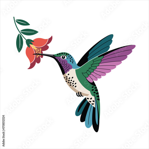 Vibrant hummingbird with iridescent feathers drinks nectar from a red flower