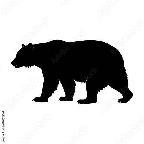 black bear silhouette