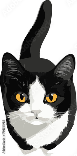 vector illustration of a top view cat