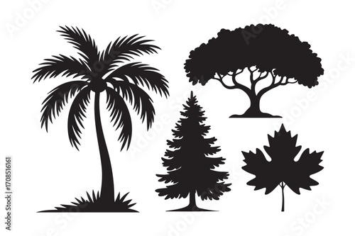 Silhouette collection of diverse trees and a maple leaf