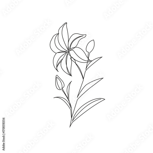 Flower With Blossom One Line Art