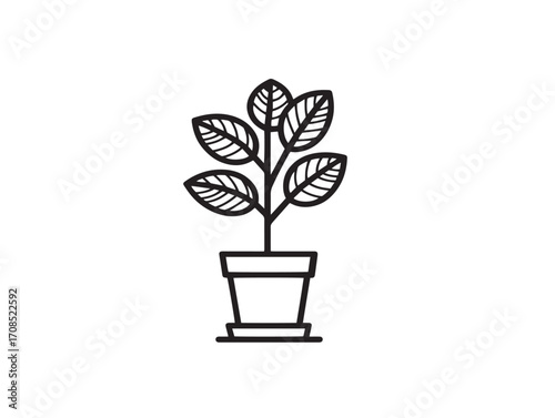 Indoor house plant illustration in simple outlined vector style