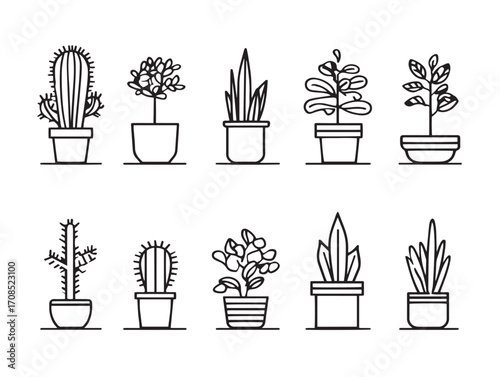 Botanical house plants illustration in modern minimal artistic line vector