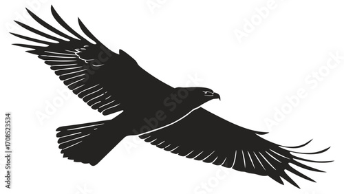 Silhouette illustration of a majestic eagle soaring through the sky with outstretched wings and sharp talons