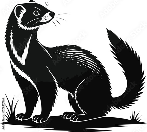 Ferret Silhouette Illustration