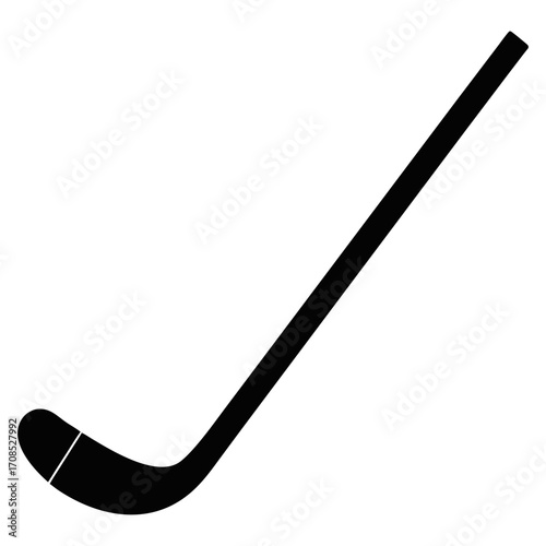 hockey stick and puck