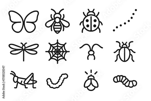 Insect Line Art. Line style icons of insects and bugs: butterfly wings, bee icon, ladybug dots, ant trail, dragonfly icon, spider