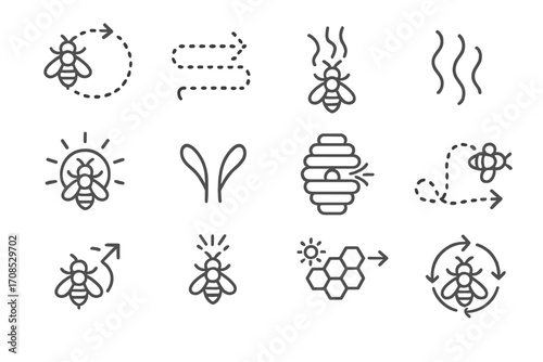 Bee Communication Icons. Line style icons of bee communication signs: waggle dance chart, pheromone trail, queen piping icon,