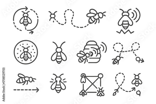 Bee Communication Icons. Line style icons of bee communication signs: waggle dance chart, pheromone trail, queen piping icon,