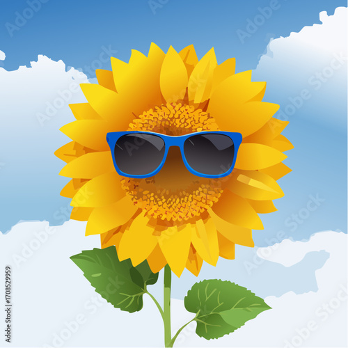 Sonnenblume