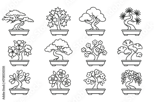 Bonsai Variety Icons. Line style icons of bonsai species icons: juniper bonsai, maple bonsai, ficus bonsai, pine bonsai, azalea