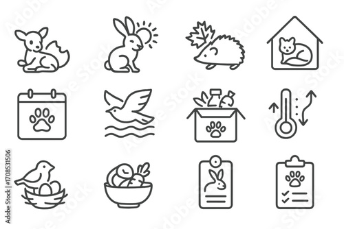 Seasonal Wildlife Icons. Line style icons of seasonal wildlife rehab: spring orphan arrival, summer dehydration risk, autumn