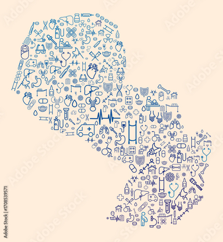 Map of Paraguay formed by icons related to medicine and healthcare system. SUS. Public healthcare. America