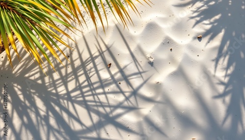 Breathtaking summer beach scene with coconut leaf shadows on soft white sand, subject at top, ample copy space at bottom, in lightwave style under bright daylight.