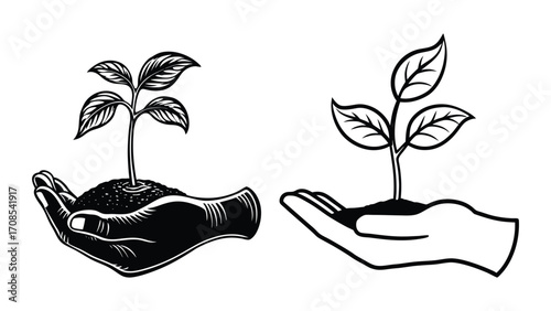 Print Seedling growing from an open palm