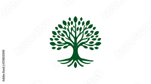 A stylized green tree with lush leaves and prominent roots, symbolizing growth and strength.