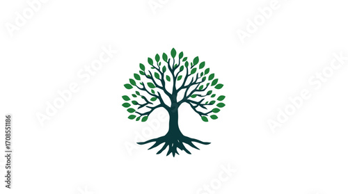A stylized illustration of a tree with green leaves and intricate roots, centered on white background.
