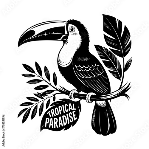 Tropical Toucan Bird Sitting on Branch Illustration