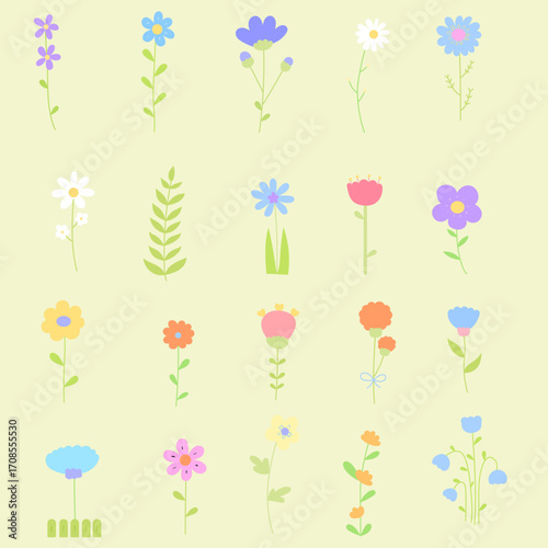 spring and summer flower collection in flat illustration style