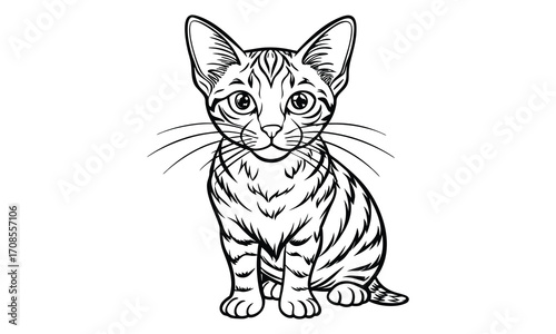 Salem Cat, kids line art doodle pattern design t shirt design silhouette and vector, detailed illustration, perfect for relaxation, stress relief, adult coloring books, printable art therapy.