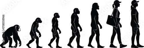 Human evolution silhouette sequence showing progression from primate to modern man, evolutionary stages concept for science, anthropology, history, and education design