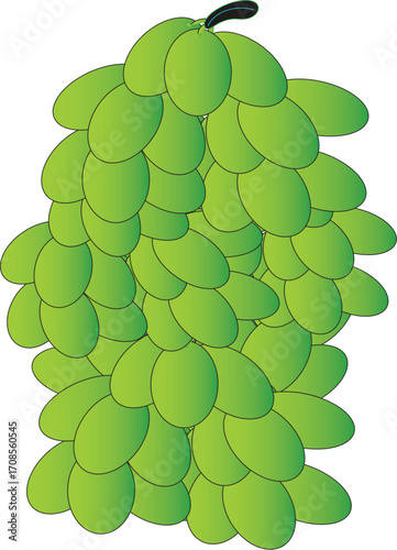 Bunch of Green Grapes Illustration