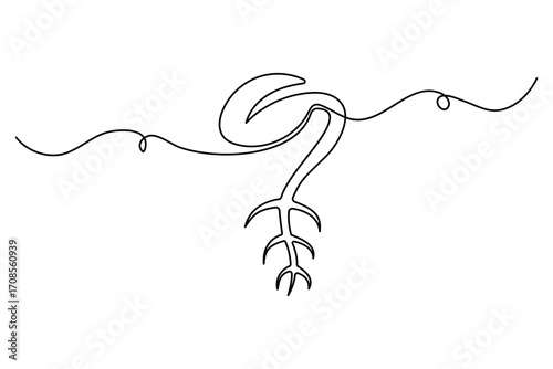 Continuous one line drawing of the step by step process of a plant growing from seed to sprout in doodle style
