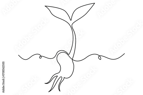 Continuous one line drawing of the step by step process of a plant growing from seed to sprout in doodle style
