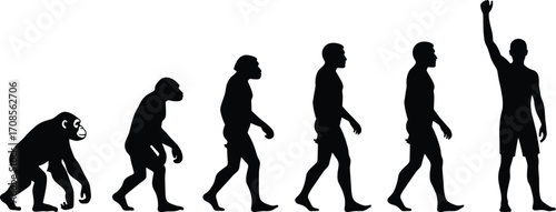 Human evolution silhouette sequence showing progression from primate to modern man, evolutionary stages concept for science, biology, anthropology, history, and education design