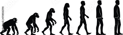 Human evolution stages from primate to modern business professional, posture change, anthropology concept, vector silhouette illustration, isolated on white background